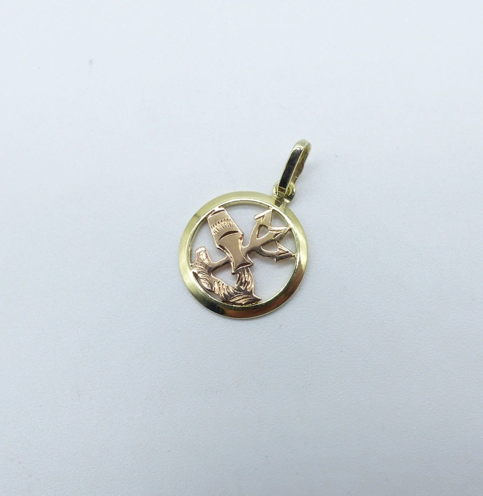 Zlatý přívěsek 0,95g Vodnář