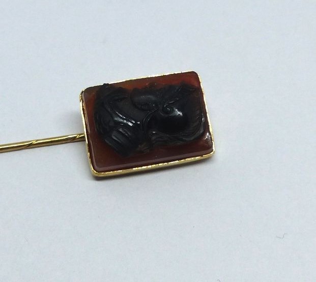 Zlatá jehlice 3,85g karneol