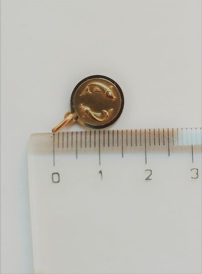 Zlatý přívěsek 0,95g Ryby