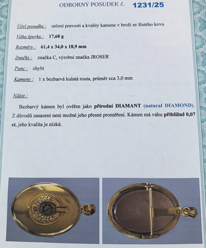 Zlatá brož/přívěsek/medailon s routou 17,60g